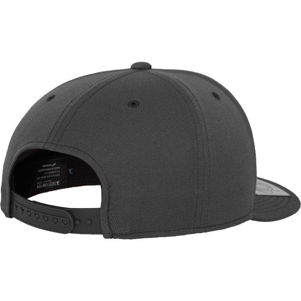 Flexfit 110 Stretch-Fit Unisex Snapback Cap